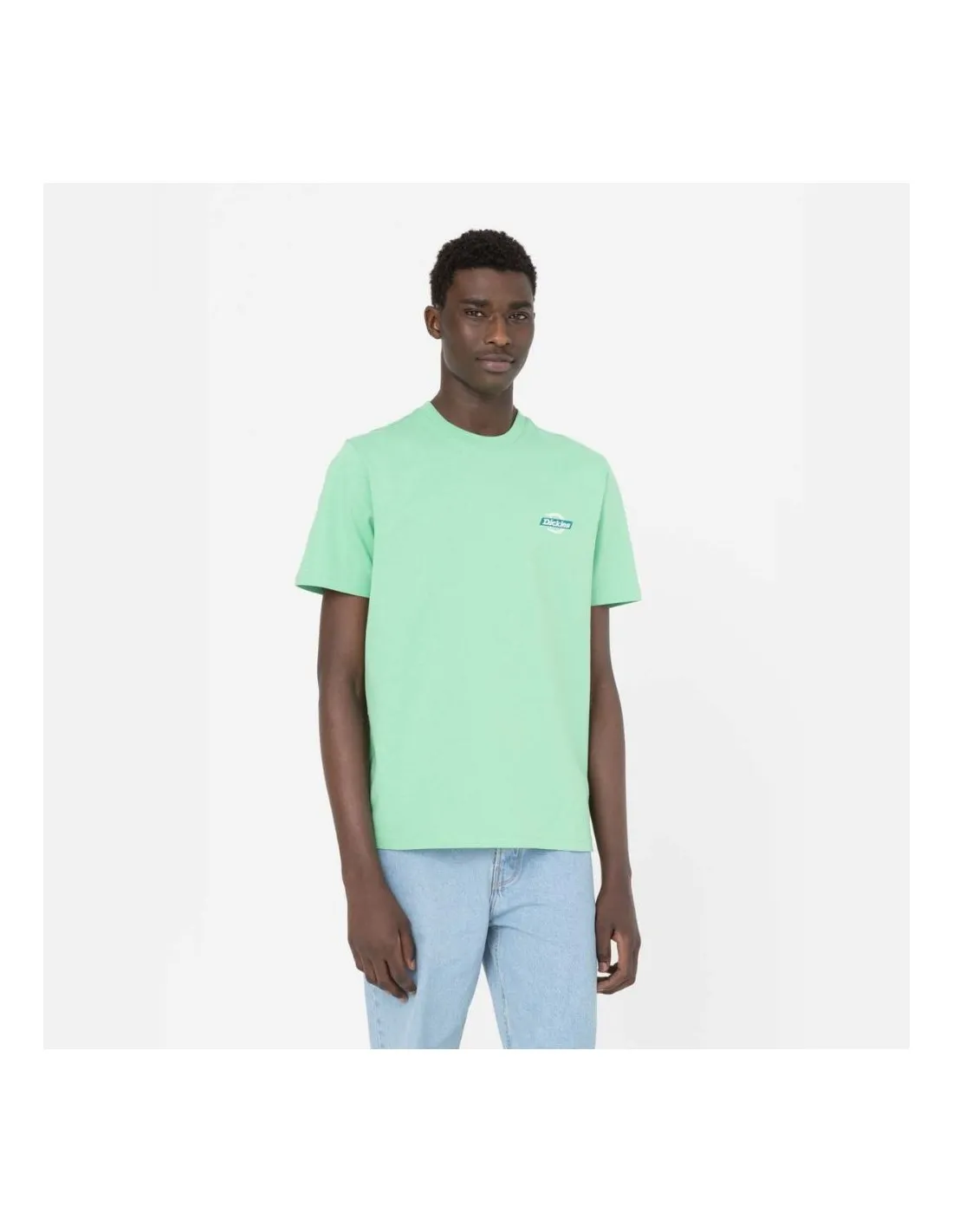 Dickies S/S Ruston Tee Apple Mint