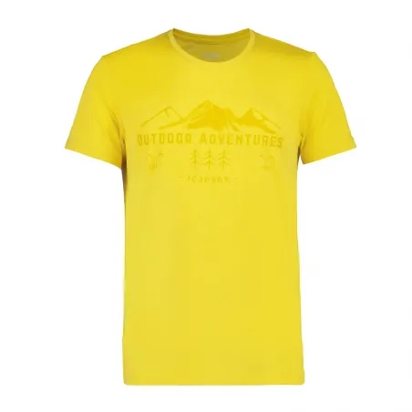 ICEPEAK   uomo    T-Shirt Bearden 433